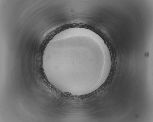 X0000113220920200910011341