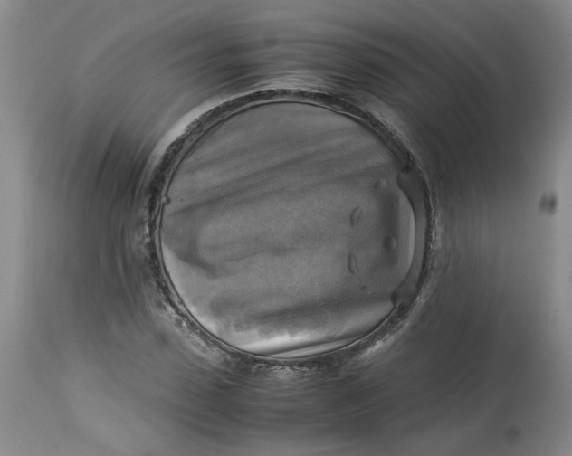 X0000113220923200910011341