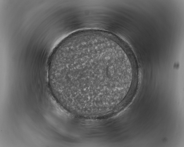 X0000113220925200910011341