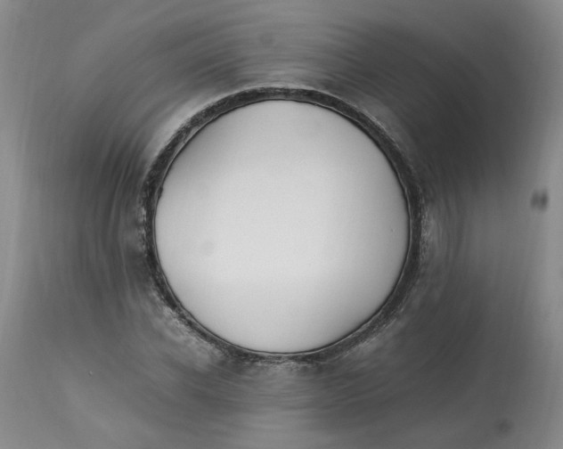 X0000113220926200910011341