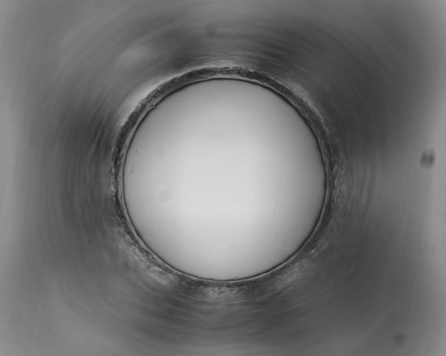 X0000113220927200910011341