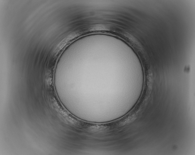 X0000113220929200910011341