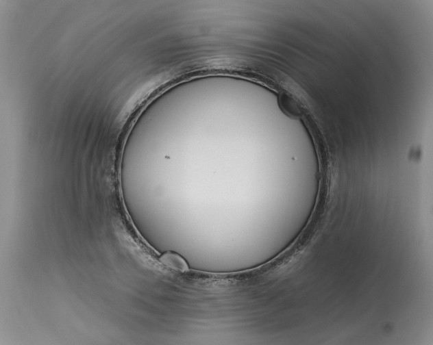 X0000113220930200910011341