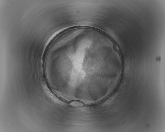 X0000113220932200910011341