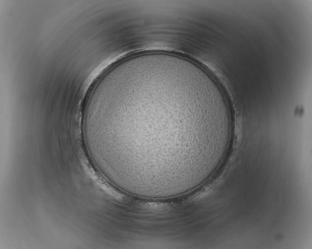 X0000113220933200910011341