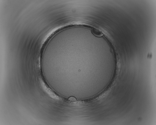 X0000113220934200910011341