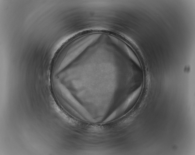 X0000113220935200910011341