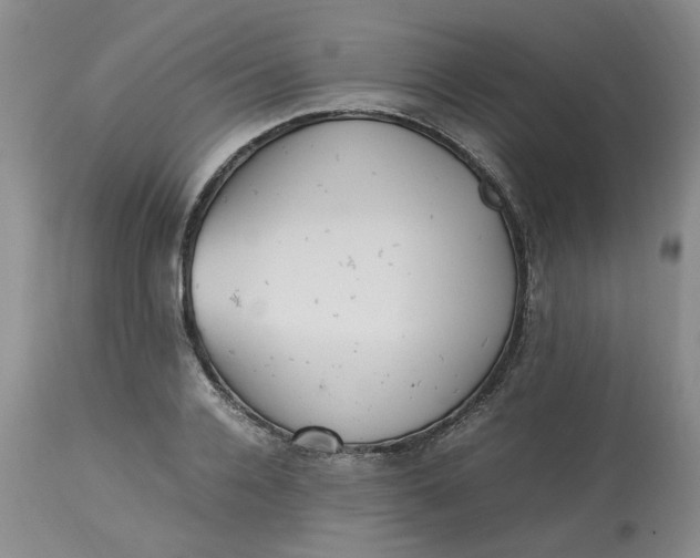 X0000113220936200910011341