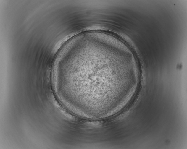 X0000113220937200910011341