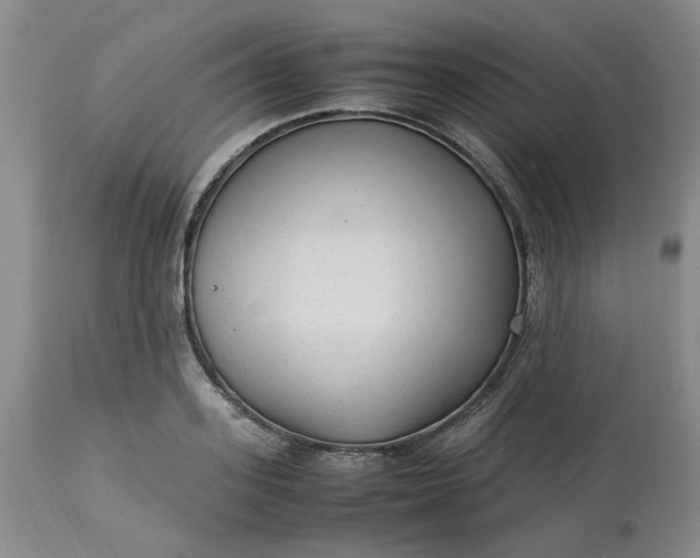 X0000113220939200910011341