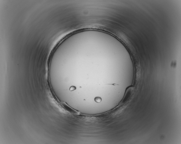 X0000113220940200910011341