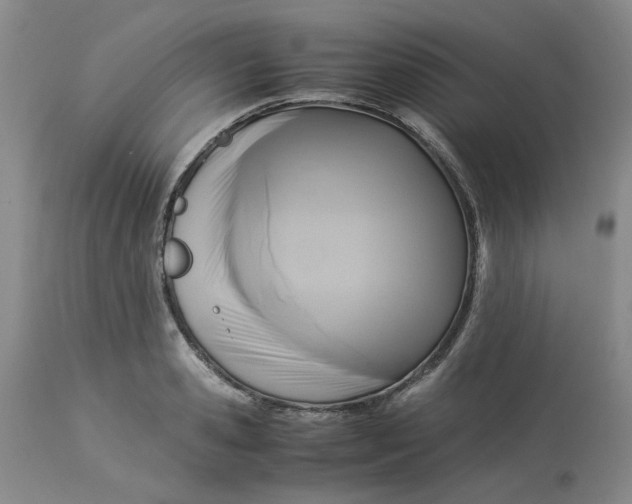 X0000113220941200910011341