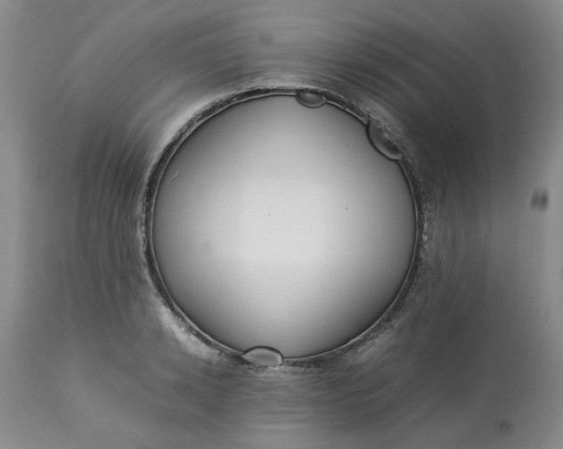 X0000113220942200910011341