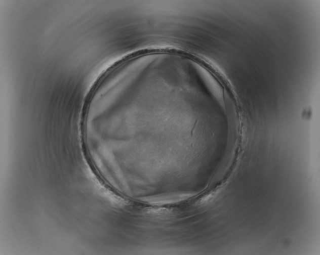 X0000113220943200910011341