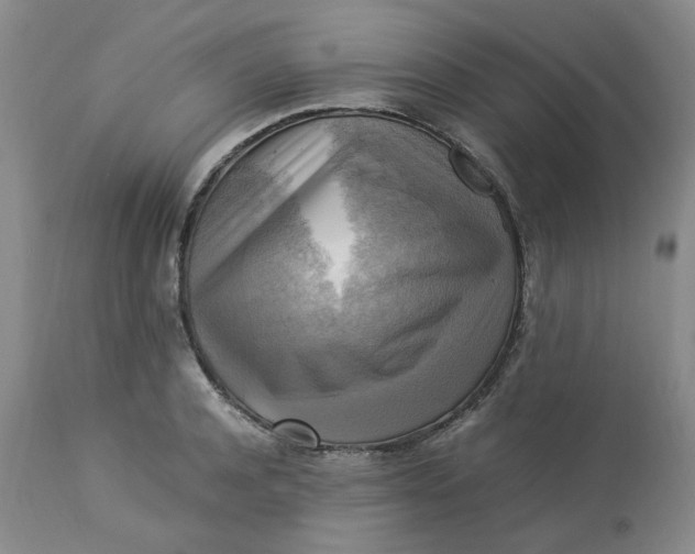 X0000113220944200910011342