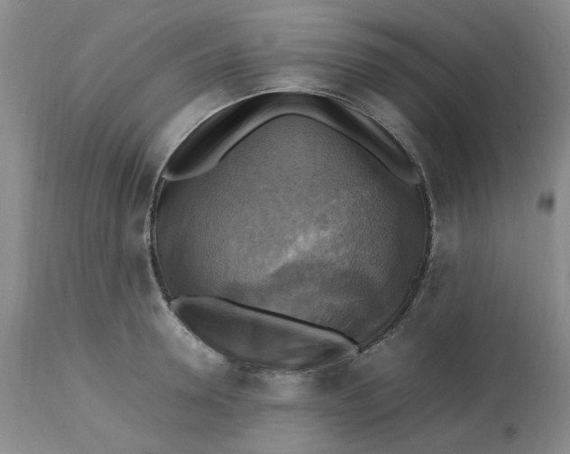 X0000113220946200910011342