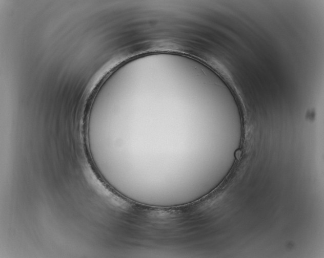 X0000113220947200910011342