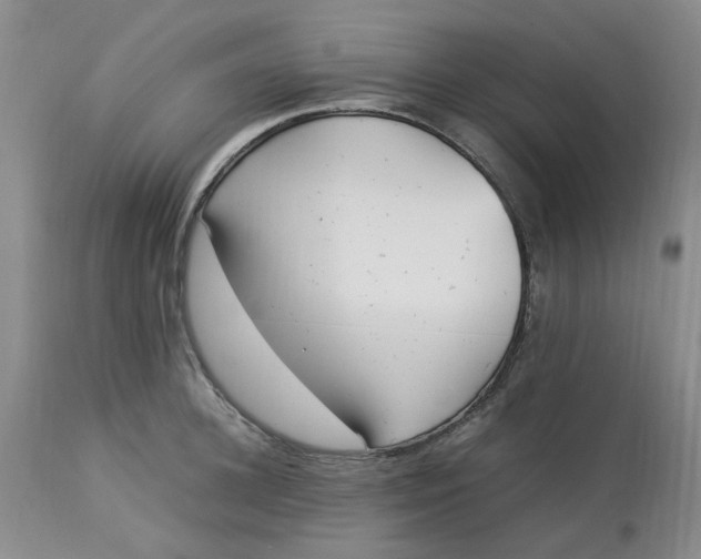 X0000113220948200910011342