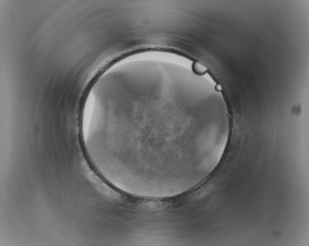 X0000113220950200910011342