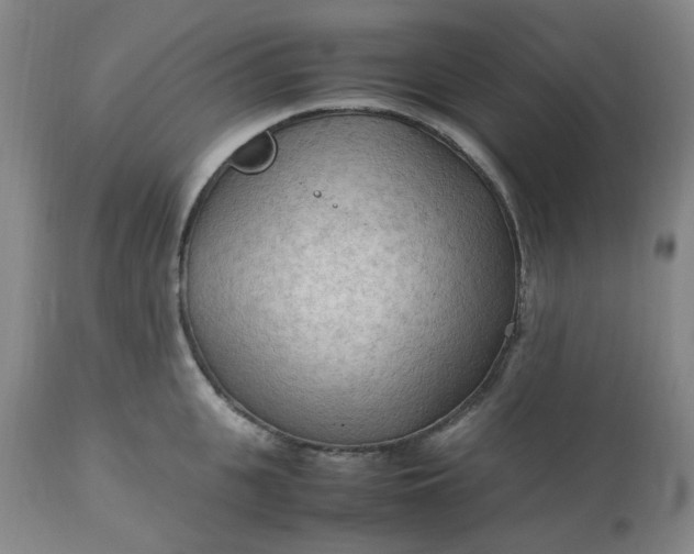 X0000113220951200910011342