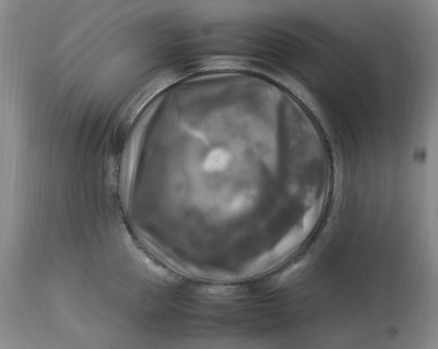 X0000113220953200910011342