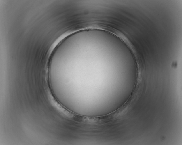 X0000113220955200910011342