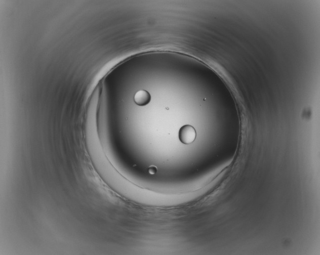 X0000113220956200910011342