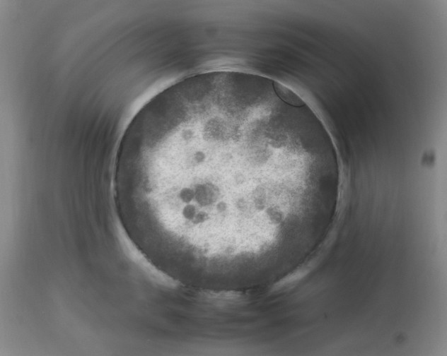 X0000113220957200910011342