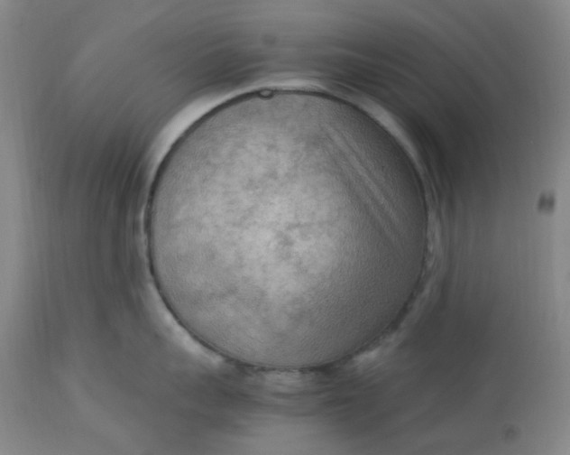 X0000113220959200910011342