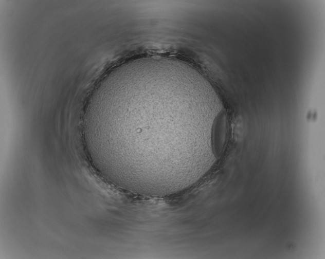 X0000113220961200910011341