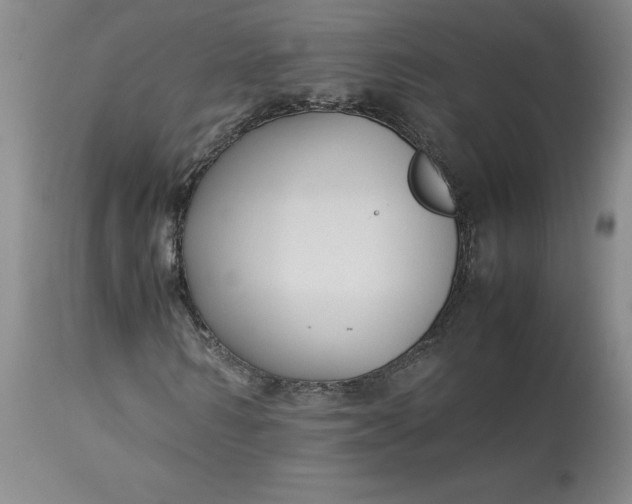 X0000113220962200910011341