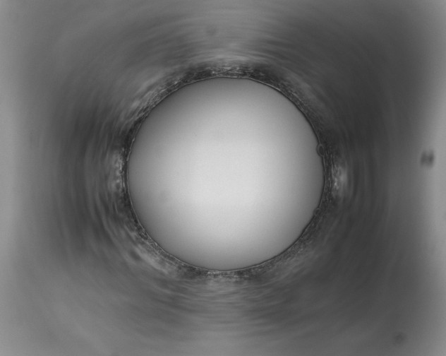 X0000113220964200910011341