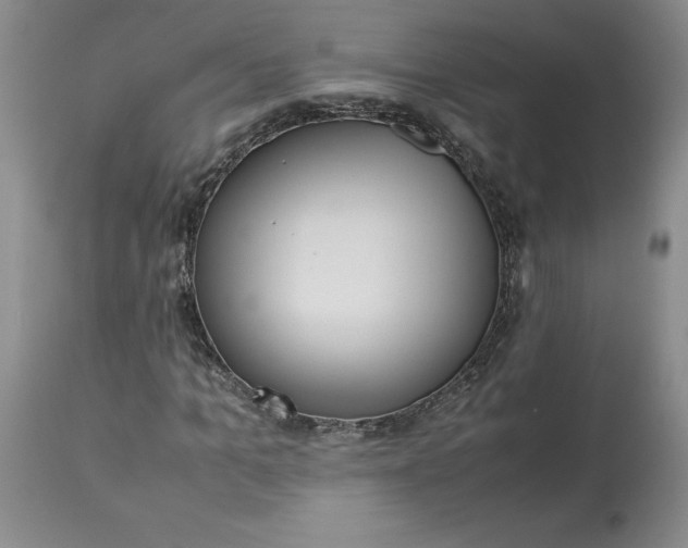 X0000113220965200910011341