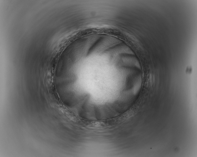 X0000113220966200910011341