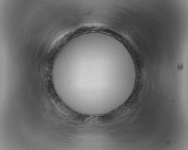 X0000113220967200910011341