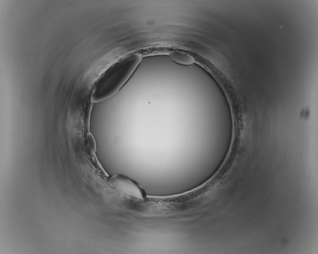 X0000113220969200910011341