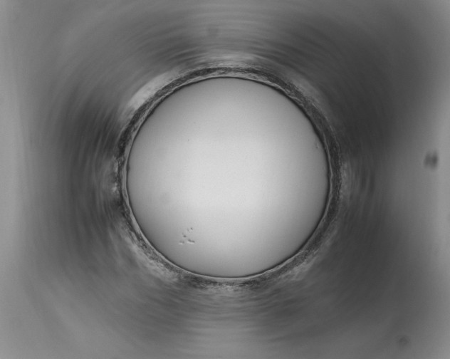 X0000113220970200910011341