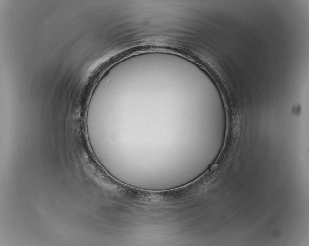 X0000113220971200910011341