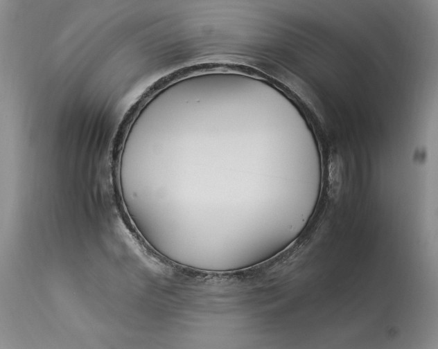 X0000113220972200910011341