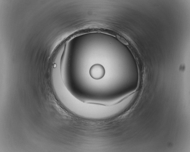 X0000113220973200910011341