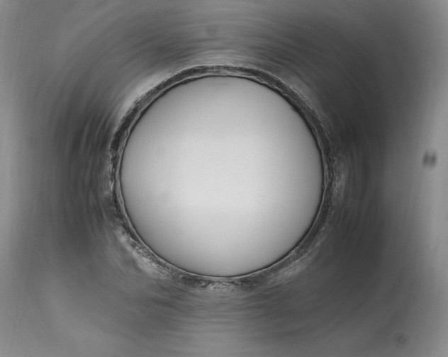 X0000113220974200910011341