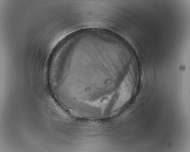 X0000113220975200910011341