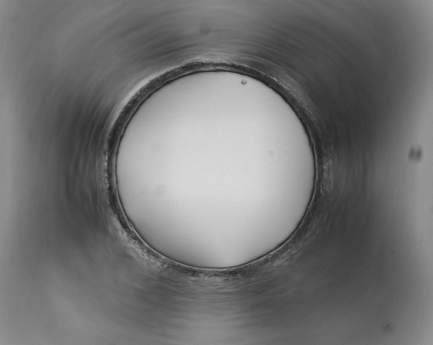 X0000113220976200910011341