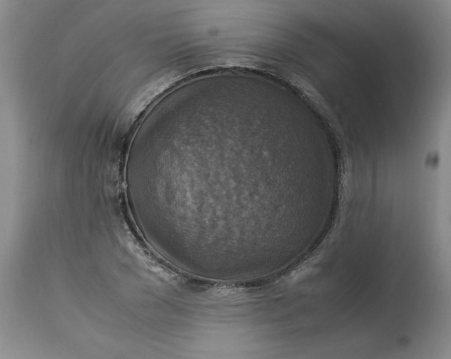 X0000113220977200910011341