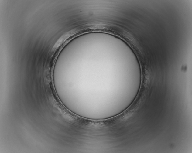 X0000113220978200910011341