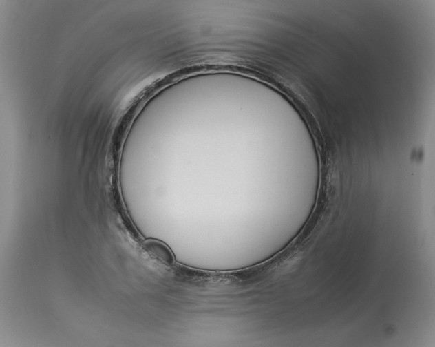 X0000113220979200910011341