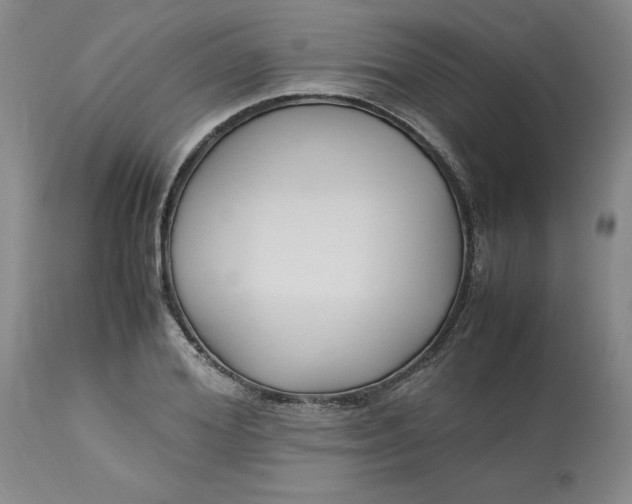 X0000113220980200910011341