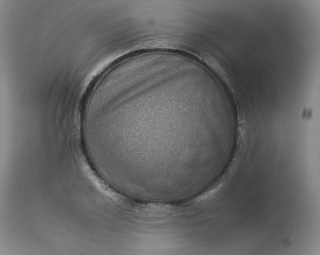 X0000113220981200910011341