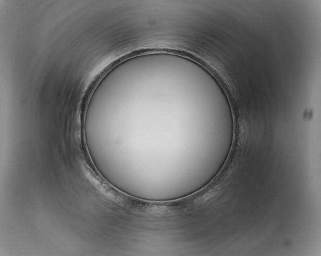 X0000113220982200910011341