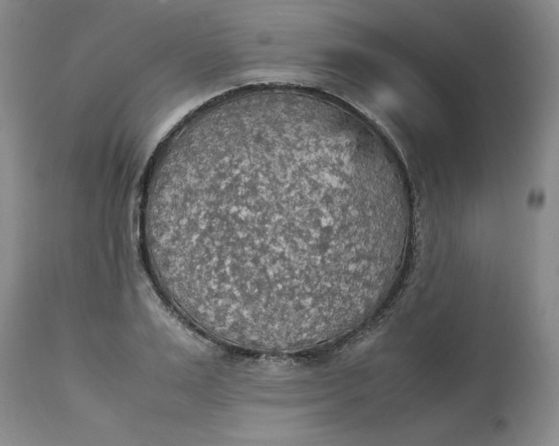 X0000113220983200910011341